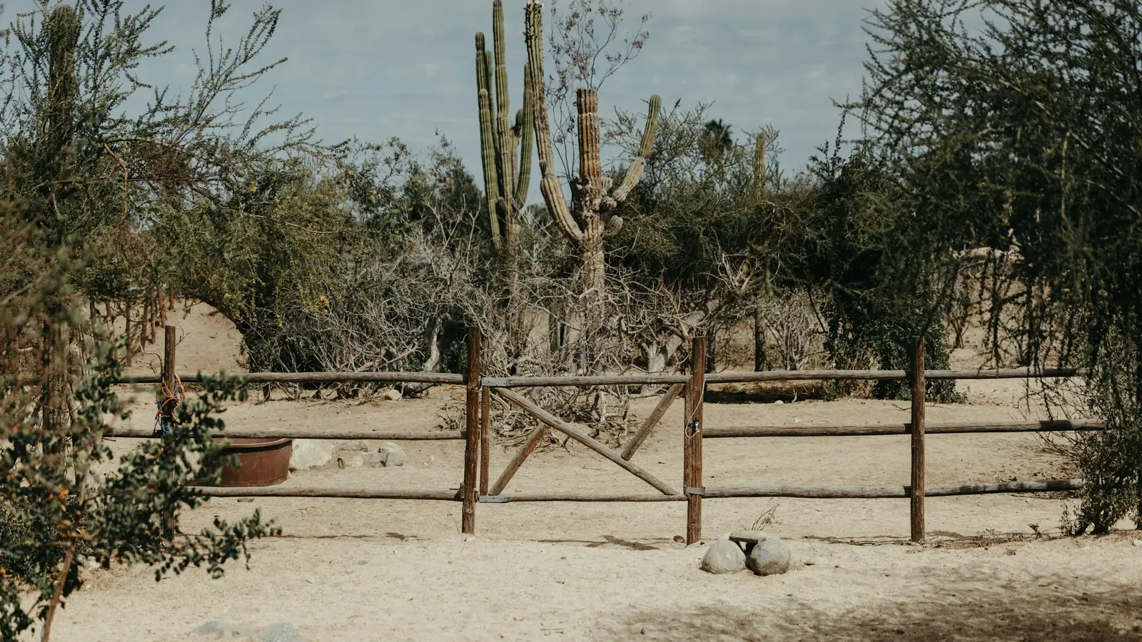 Todos Santos