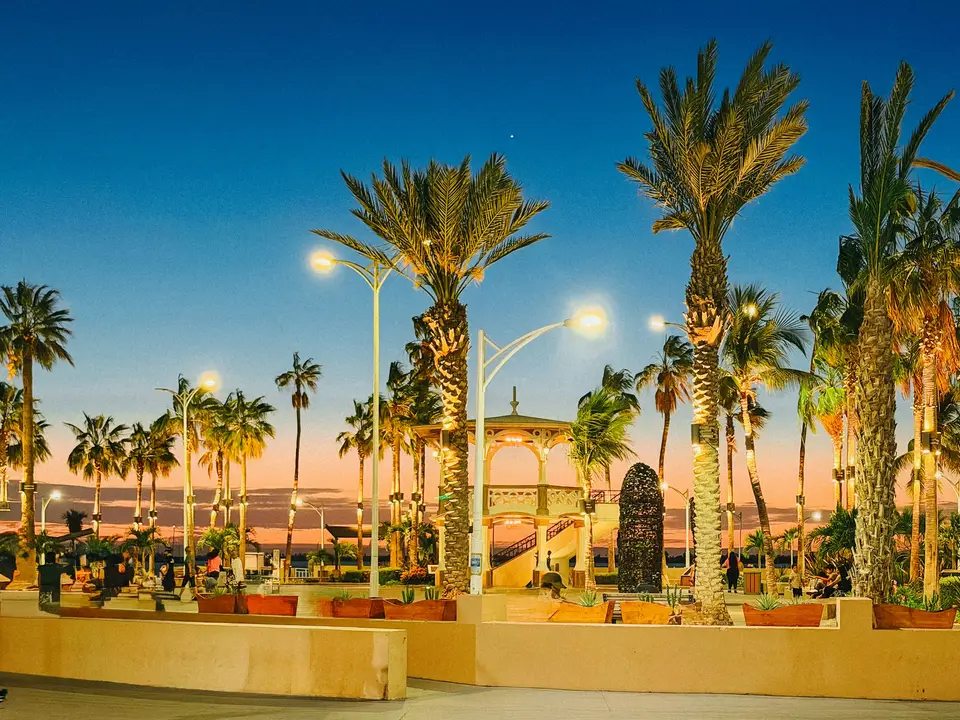 Palm trees line a plaza at dusk with colorful sky — Todos Santos