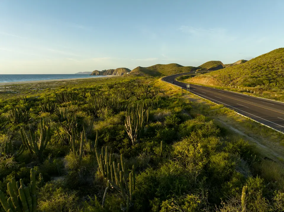 a road going through a grassy area — Valle de Guadalupe